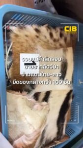 รวบแม่ค้าลักลอบขายซากสัตว์ป่าข้ามแดนไทย-ลาว.-ตำรวจสอบสวนกลา