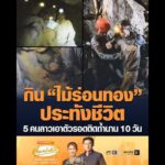กิน ไม้ร่อนทอง ประทังชีวิต 5 คนลาวเอาตัวรอดติดถ้ำนาน 10 วัน อัพเดทข่าว