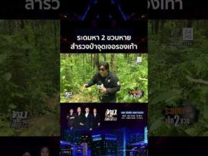 ด่วน ปูพรมหา 2 ขวบหาย บุกป่าพิสูจน์วางรองเท้าแตะจัดฉาก? 