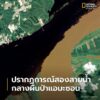มองแวบแรก-ภาพนี้อาจดูเหมือนแอบสแตรกต์อาร์ต-(summary-paintings)-หร