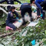 ตรัง-หญิงวัย-52-ปี-ถูกยิvเสีeชีวิตกลางพื้นที่ทุรกันดารห้วย-|-2026-05-31-16:36:00