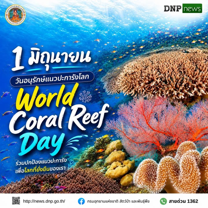 ðð¤ððð®-:-1-มิถุนายน-“วันอนุรักษ์แนวปะการังโลก”-(world-coral-r