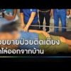 ช่วยยายป่วยติดเตียง ถูกลูกสะใภ้ไล่พ้นบ้าน | ข่าวเที่ยงช่องวัน | สำนักข่าววันนิวส์