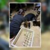 “เต่ามะเฟือง”-วางไข่นอกฤดูกาล-136-ฟอง-จังหวัดพังงา-ข่าวใต้แลได้ท