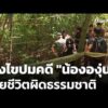 เร่งไขปมคดี “น้ององุ่น” อายุ 7 ขวบ เสียชีวิตผิดธรรมชาติ | ข่าวค่ำ 2 มิ.ย. 69