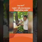 อนุทิน ปลื้ม ประชาชนชอบ ไทยช่วยไทย พลัส | ทันข่าว 3 มิ.ย. 69