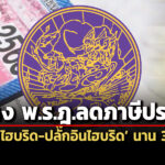 ลดภาษี-80%-นาน-3-ปีกรมขนส่งฯเปิดรับฯร่าง-พรฎ.ลดภาษีประจำปีรถไฮบริด-ปลั๊กอินไฮบริด