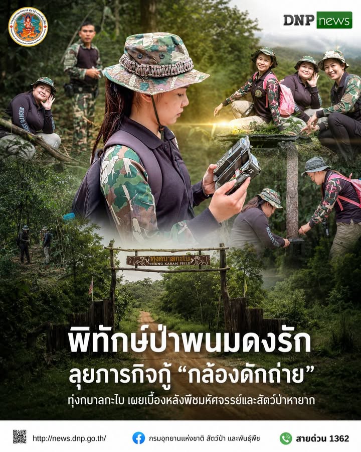 ð¿ðð-ððð£ððð§-:-พิทักษ์ป่าพนมดงรัก-ลุยภารกิจกู้-“กล้องดักถ่าย”