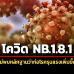 กรมควบคุมโรคยืนยันโควิด-สายพันธุ์-nb18.1-พบในไทยต่อเนื่องตั้งแต่กลางปี-2568