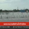 ผลกระทบมาเลเซีย-ห้ามนำเข้ากุ้งไทย-ข่าวใต้แลได้ที่เรา-#thaip