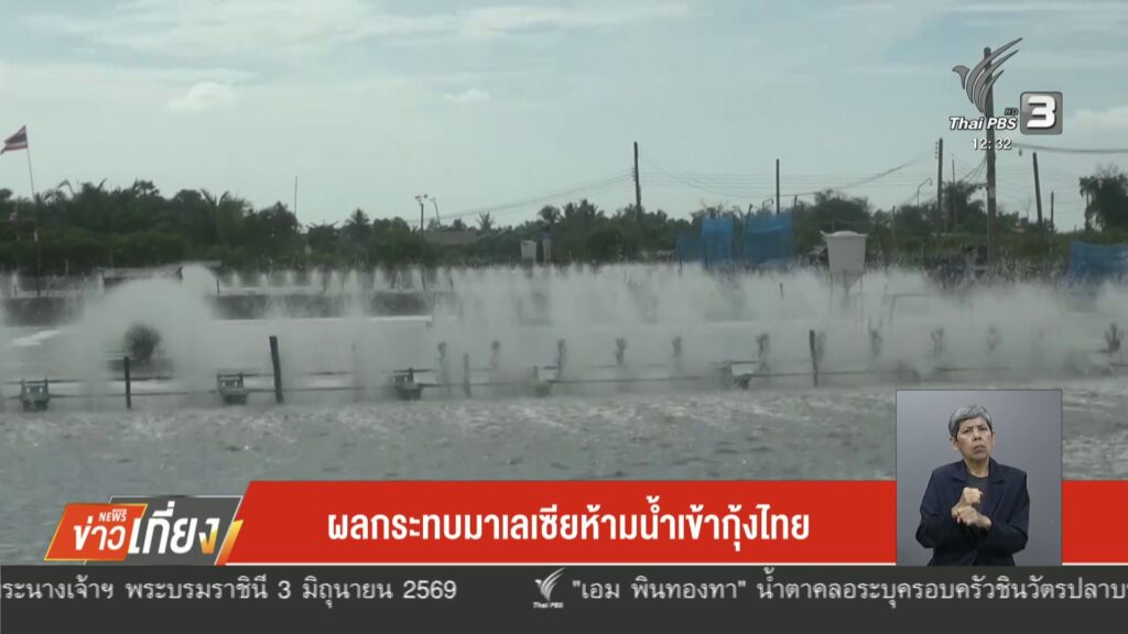 ผลกระทบมาเลเซีย-ห้ามนำเข้ากุ้งไทย-ข่าวใต้แลได้ที่เรา-#thaip