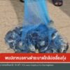 –-ลงแขกจับปลาหมอคางดำคลองท่าน้ำ-จ.ตราด-–-พบปลาหมอคางดำใกล้บ่