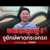ด่วน ขนหัวลุกซู่ งูเหลือมยักษ์เลื้อยพาดกระจกรถ 