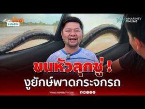 ด่วน ขนหัวลุกซู่ งูเหลือมยักษ์เลื้อยพาดกระจกรถ