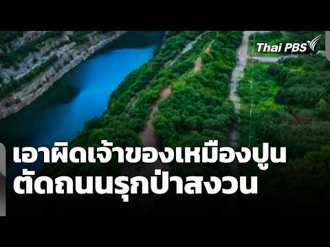 เอาผิดเจ้าของเหมืองปูน ตัดถนนรุกป่าสงวนเกือบ 2 ไร่ | ชั่วโมงข่าว เสาร์-อาทิตย์ 7 มิ.ย. 69
