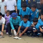 -(8-มิถุนายน)-world-oceans-day-2026-กรม-ทช.-เชิญชวนทุกคนร่ว