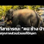เวทีสาธารณะ “คน ช้าง ป่า” ชวนทุกภาคส่วนร่วมแก้ปัญหา | ชั่วโมงข่าว เสาร์-อาทิตย์ 7 มิ.ย. 69