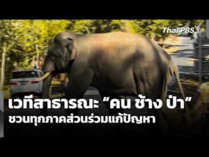 เวทีสาธารณะ “คน ช้าง ป่า” ชวนทุกภาคส่วนร่วมแก้ปัญหา | ชั่วโมงข่าว เสาร์-อาทิตย์ 7 มิ.ย. 69