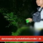 เร่งหาสาเหตุพรานป่าถูกยิvเสียชีวิตพร้อมซากสัตว์-1-ตัว-จ.นครศ