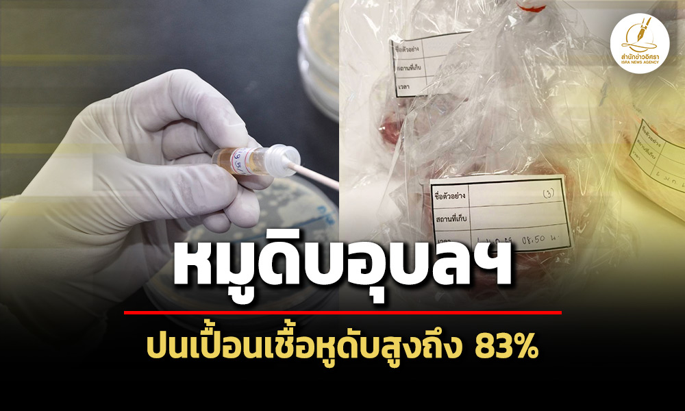 หมูดิบอุบลฯปนเปื้อนเชื้อหูดับพุ่ง-83%-กรมวิทย์เตือนงดกินลาบลู่สุกๆดิบๆเสี่ยงเสียชีวิต
