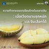 ความท้าทายของทุเรียนไทยในตลาดจีน-️เมื่อเวียดนามรุกหนัก-และจ