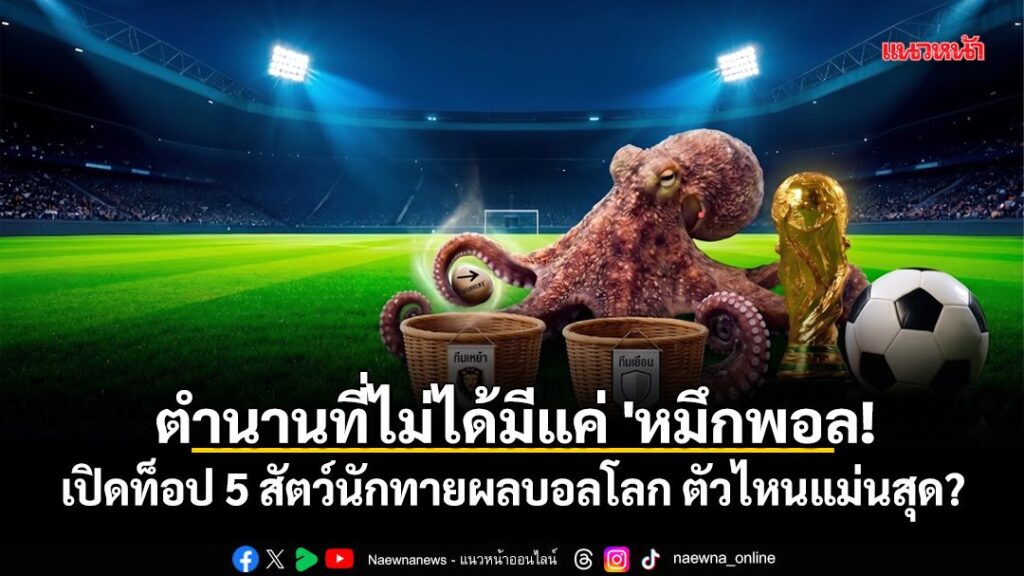 ตลอดหน้าประวัติศาสตร์ฟุตบอลทัวร์นาเมนต์ระดับเมเจอร์-สีสันที่
