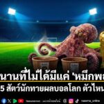 ตลอดหน้าประวัติศาสตร์ฟุตบอลทัวร์นาเมนต์ระดับเมเจอร์-สีสันที่