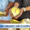 พาชิม-“ทุเรียนสาลิกา”-ผลไม้-gi-ของดีเมืองพังงา-ข่าวใต้แลได้