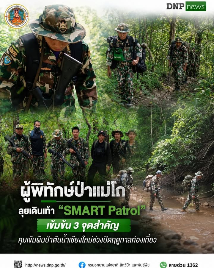 ð¿ðð-ððð£ððð§-:-ผู้พิทักษ์ป่าแม่โถ-ลุยเดินเท้า-“smart-patrol”-เ