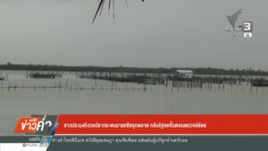 ชาวประมงกังวลปลากระพงมาเลเซียรุกตลาด-หลังรัฐลดขั้นตอนตรวจปล่