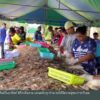 เกษตรกรเลี้ยงกุ้งร้องแก้ปัญหาราคาตกต่ำ-ข่าวใต้แลได้ที่เรา-#