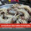 ราคากุ้งปรับลด-หลังมาเลเซียระงับนำเข้ากุ้งไทย-ข่าวใต้แลได้ท