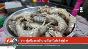 ราคากุ้งปรับลด-หลังมาเลเซียระงับนำเข้ากุ้งไทย-ข่าวใต้แลได้ท
