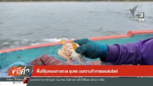 พื้นที่คุ้มครองทางทะเล-ชุมพร-บนความท้าทายแลนด์บริดจ์-ข่าวใต
