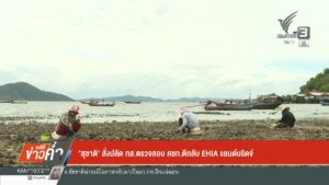 สุชาติ-สั่งปลัด-ทสตรวจสอบ-คชก.ตีกลับ-ehia-แลนด์บริดจ์-ข่าว
