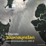 ลมหายใจแห่งอันดามัน-ป่าชายเลนโบราณ-200-ปี-แห่งสถานชีวมณฑลระน