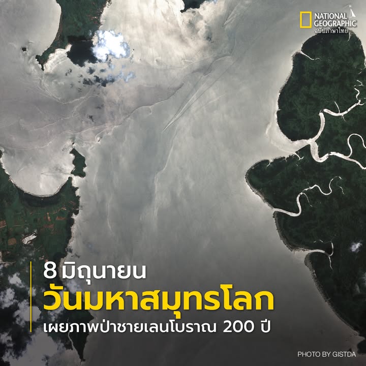 ลมหายใจแห่งอันดามัน-ป่าชายเลนโบราณ-200-ปี-แห่งสถานชีวมณฑลระน