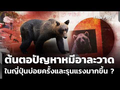 ต้นตอปัญหา “หมีอาละวาด” ในญี่ปุ่นบ่อยครั้งและรุนแรงมากขึ้น ? |  10 มิ.ย. 69
