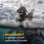 เบื้องหลังความเหน็บหนาวและรกร้างของทวีปแอนตาร์กติกา-ลึกลงไปใ