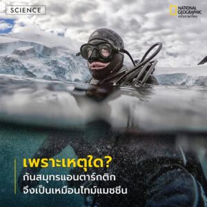 เบื้องหลังความเหน็บหนาวและรกร้างของทวีปแอนตาร์กติกา-ลึกลงไปใ