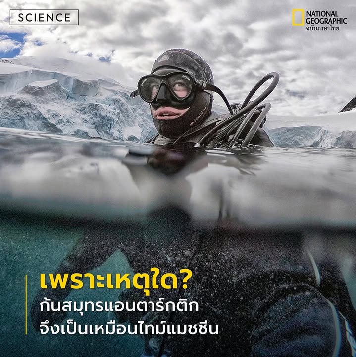 เบื้องหลังความเหน็บหนาวและรกร้างของทวีปแอนตาร์กติกา-ลึกลงไปใ