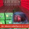 “สุริยะ”-เตรียมเจรจามาเลเซีย-แก้ปัญหาปลา-กุ้ง-17-มิย.นี้-ข