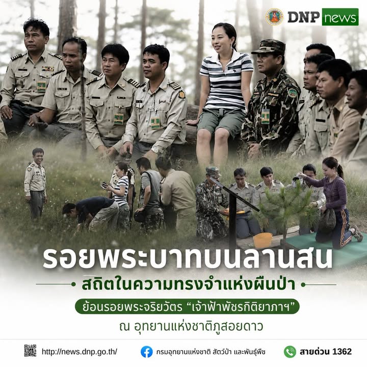 -รอยพระบาทนักอนุรักษ์-“รอยพระบาทบนลานสน”-สถิตในความทรงจำแห่
