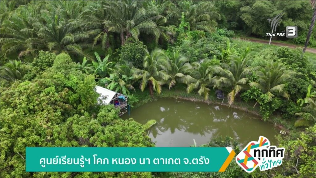 ศูนย์เรียนรู้ฯ-โคก-หนอง-นา-ตาเกต-จ.ตรัง-ข่าวใต้แลได้ที่เรา
