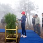 “ต้นสนสามใบ…ต้นไม้แห่งความทรงจำ-ณ-อุทยานแห่งชาติภูเรือ”-วั