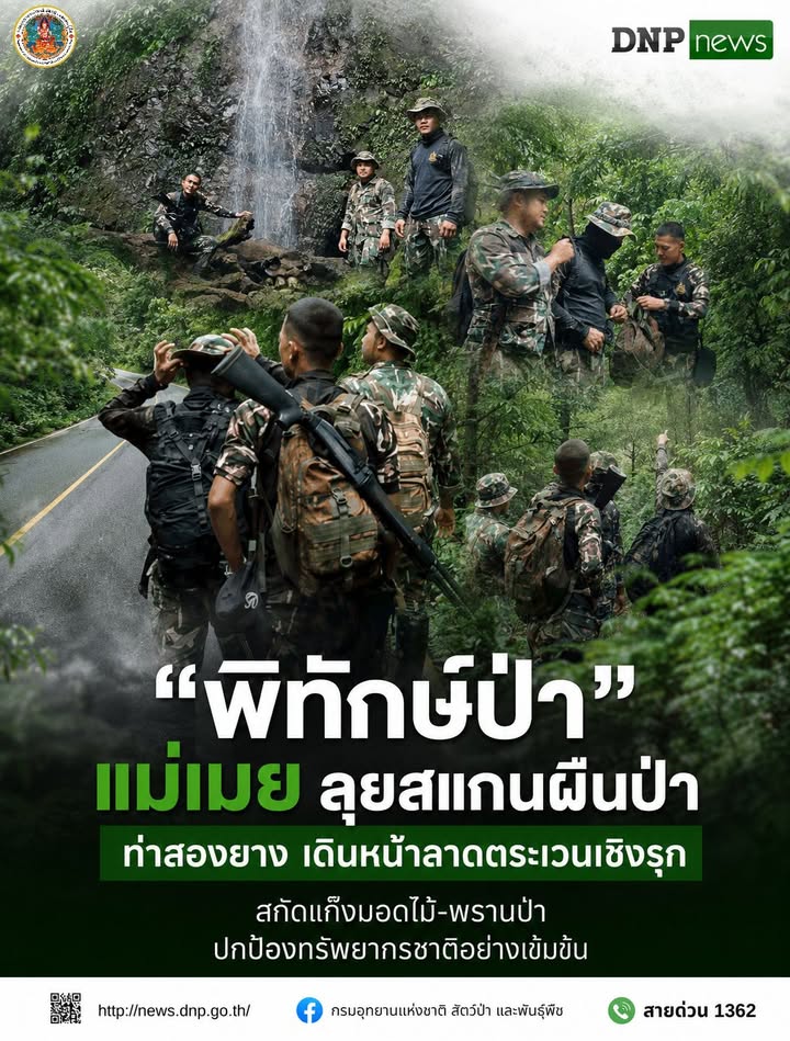 ð¿ðð-ððð£ððð§-:-“พิทักษ์ป่าแม่เมย-ลุยสแกนผืนป่าท่าสองยาง-เดินหน