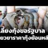 ผู้เลี้ยงกุ้งขอรัฐบาล เยียวยาราคากุ้งย้อนหลัง | ข่าวเที่ยง 14 มิ.ย. 69