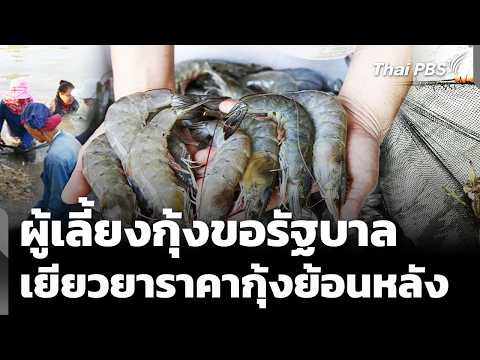 ผู้เลี้ยงกุ้งขอรัฐบาล เยียวยาราคากุ้งย้อนหลัง | ข่าวเที่ยง 14 มิ.ย. 69
