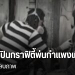 จับศิลปินกราฟิตี้พ่นกำแพงเมืองเก่า-สั่งปรับ-ลบภาพ-พ่นสีกำแพ