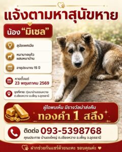 -อเพ็ญ-จ.อุดรธานี-แจ้งตามหาสุนัขหาย-ผู้ใดพบเห็นนำส่งคืนมี
